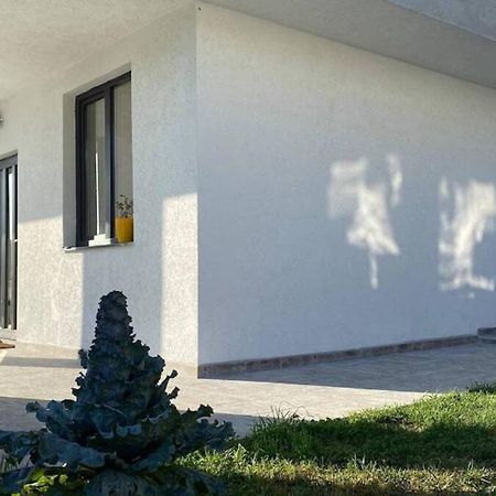 Lola Seaview Guest House. Уютный Домик В Варне Varna Exterior photo
