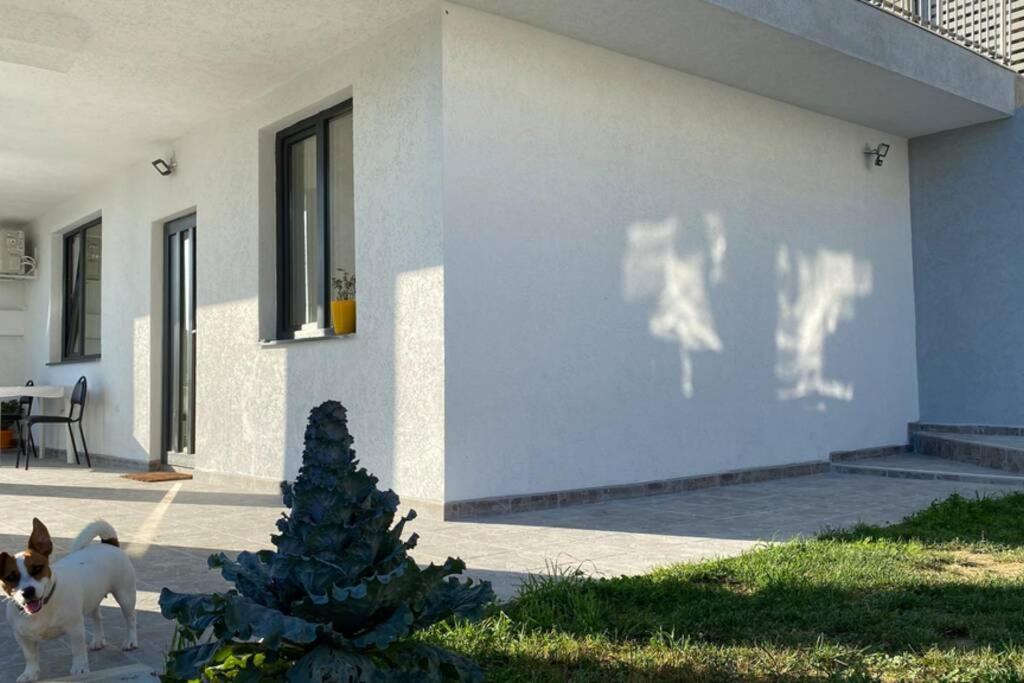 Lola Seaview Guest House. Уютный Домик В Варне Varna Exterior photo
